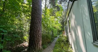 von_poll_real_estate_property_25005008_image_6