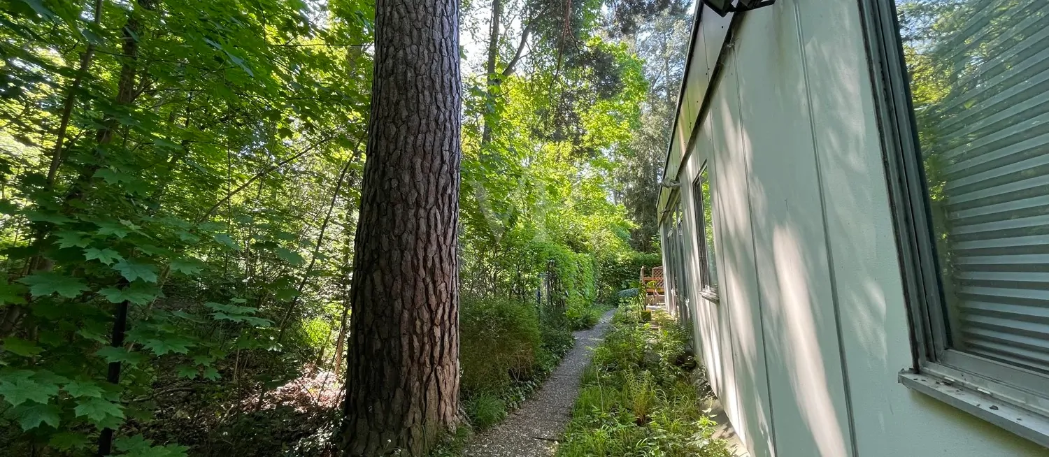 Gartenbereich hinten am Waldrand
