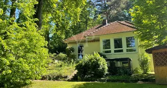 von_poll_real_estate_property_25005008_image_4