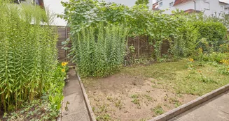 von_poll_real_estate_property_25005036_image_17