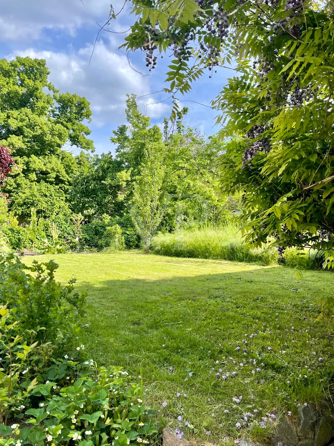 Zusätzliches Gartengrundstück