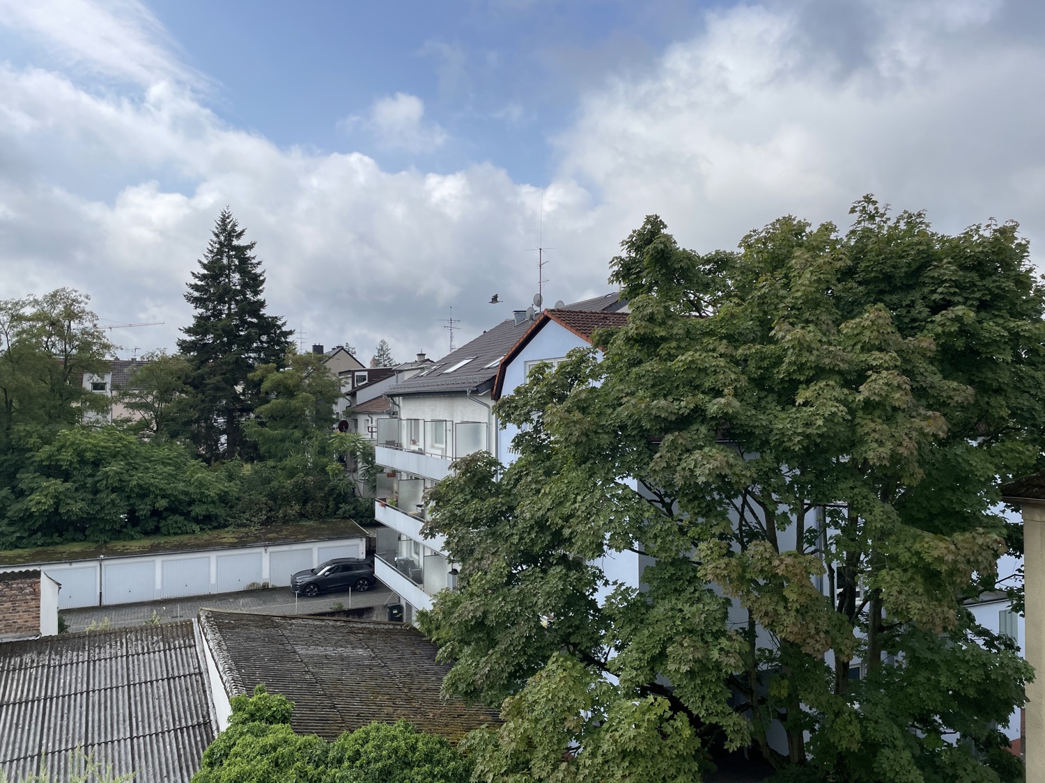 Ausblick