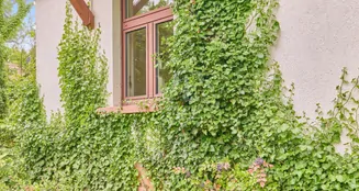 von_poll_real_estate_property_25005037_image_7