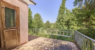 von_poll_real_estate_property_25005061_image_20