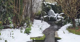 von_poll_real_estate_property_26005006_image_14