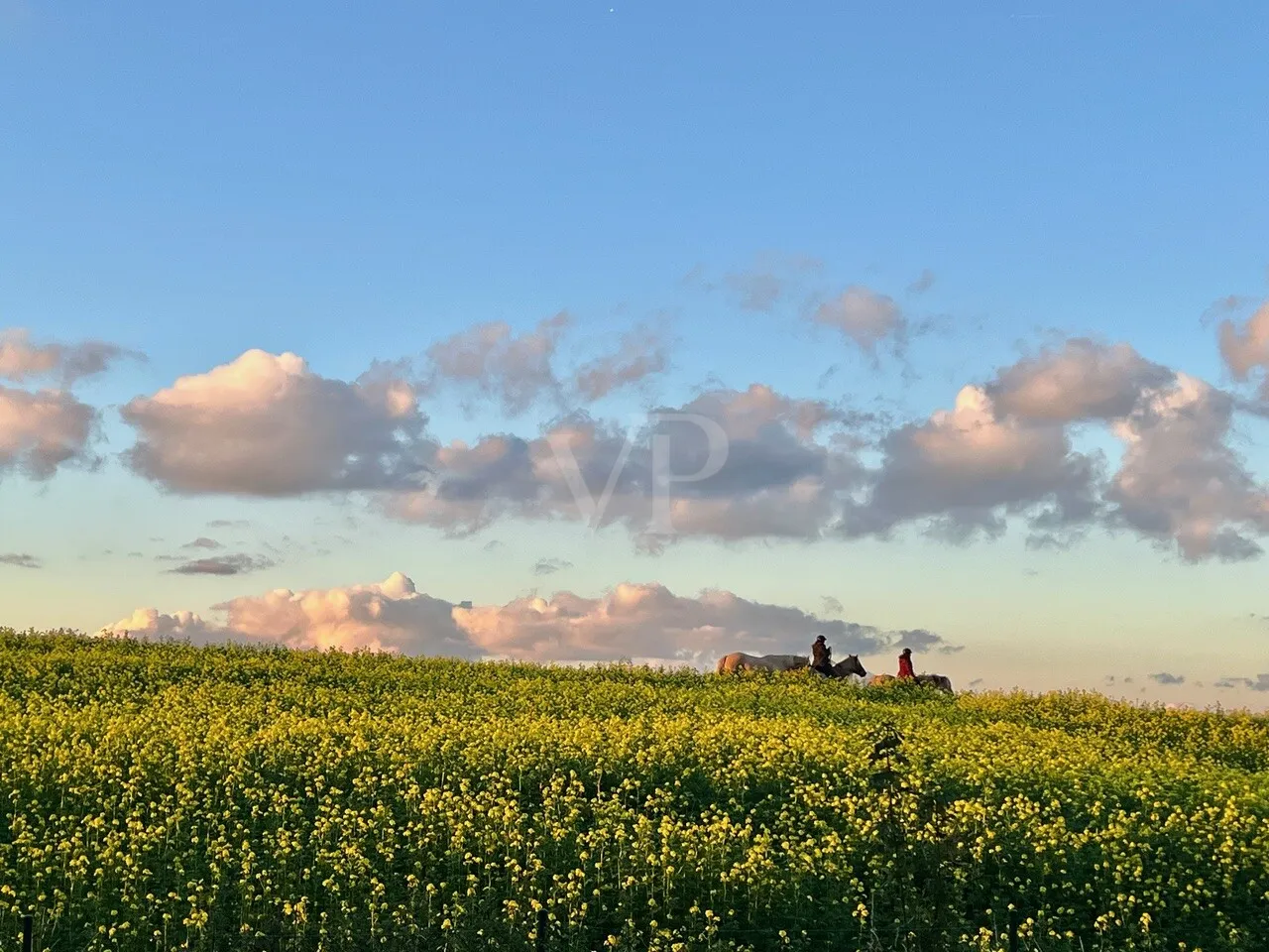 Aussicht hinter dem Haus