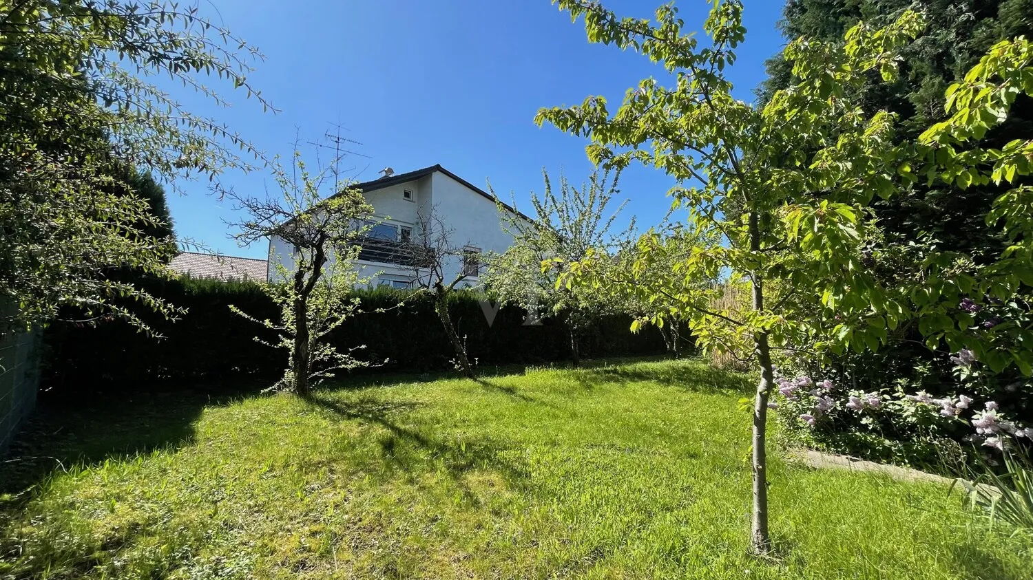 Garten mit Obstbäumen
