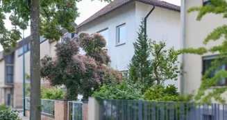 von_poll_real_estate_property_26005011_image_23