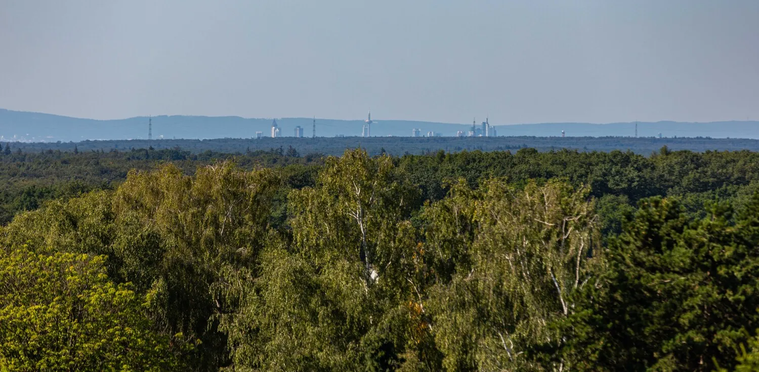 Ausblick/Weitblick