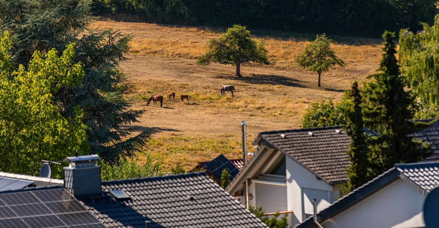 Natur und dennoch Infrastruktur