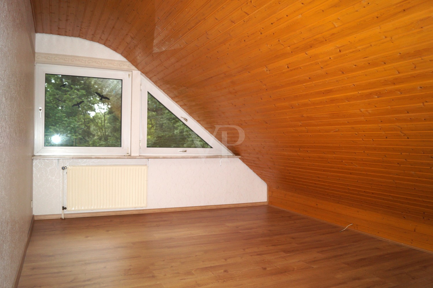 DG Zimmer