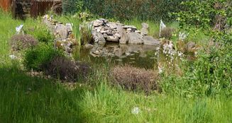 von_poll_real_estate_property_25217046_image_20