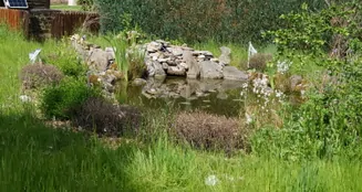 von_poll_real_estate_property_25217046_image_26