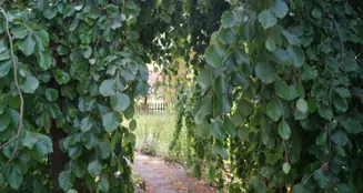 von_poll_real_estate_property_25217046_image_24