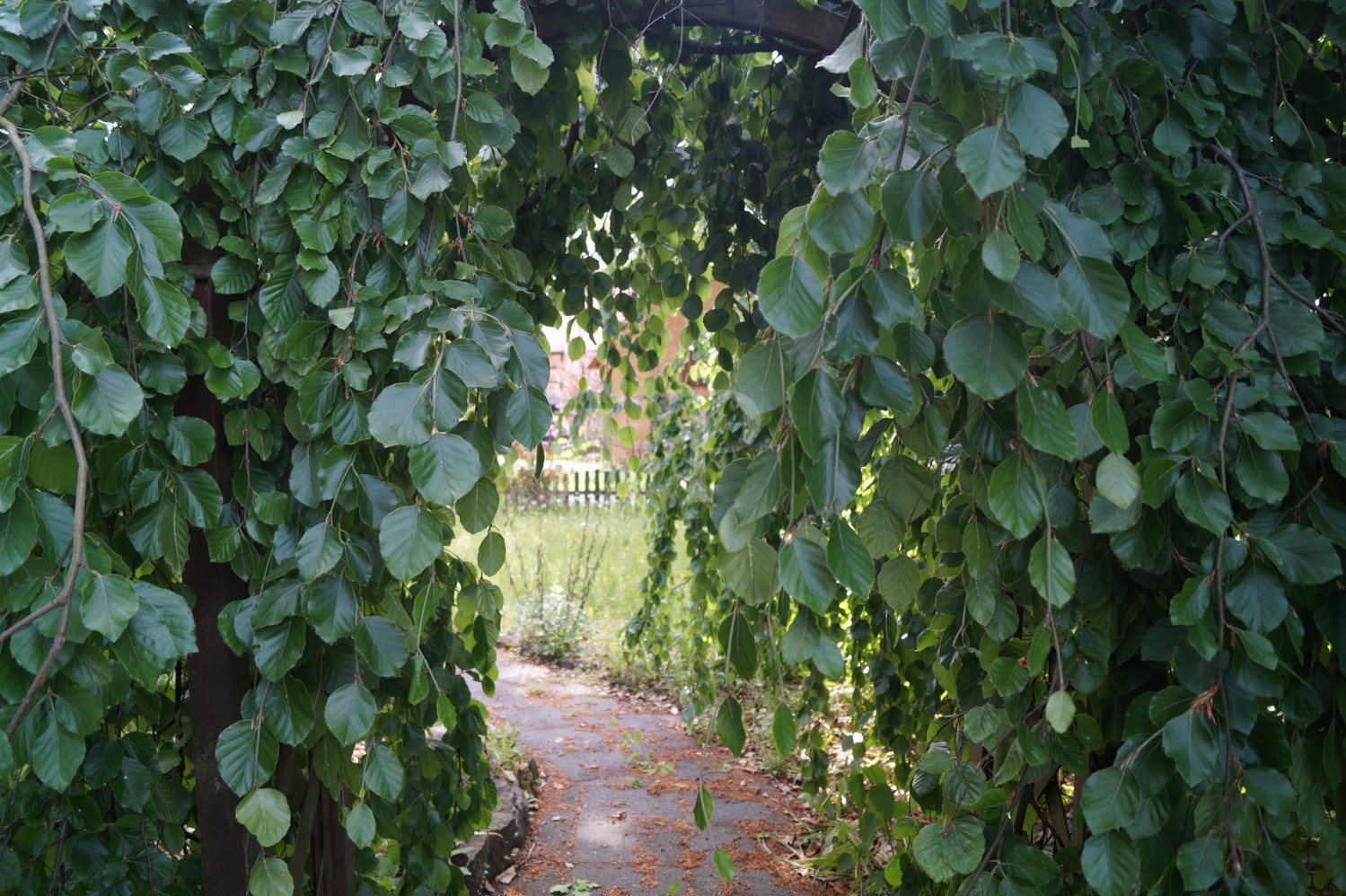 Garten