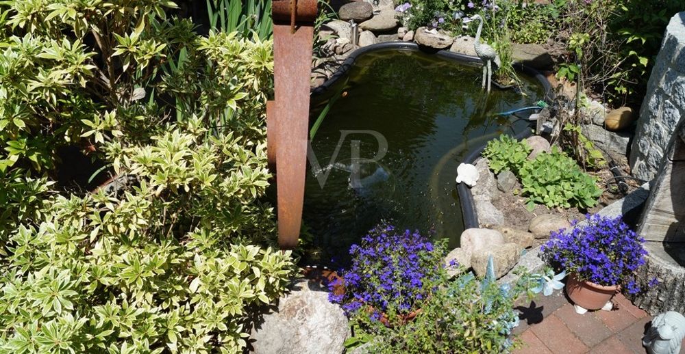 40 kleiner Teich