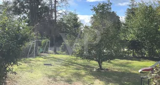 von_poll_real_estate_property_22217056-1_image_3