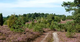 von_poll_real_estate_property_24217076-2_image_36