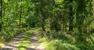 von_poll_real_estate_property_24217076-2_image_10