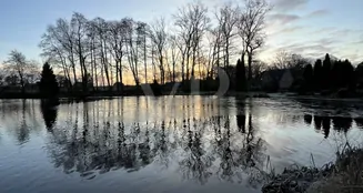 von_poll_real_estate_property_25217048-1_image_6