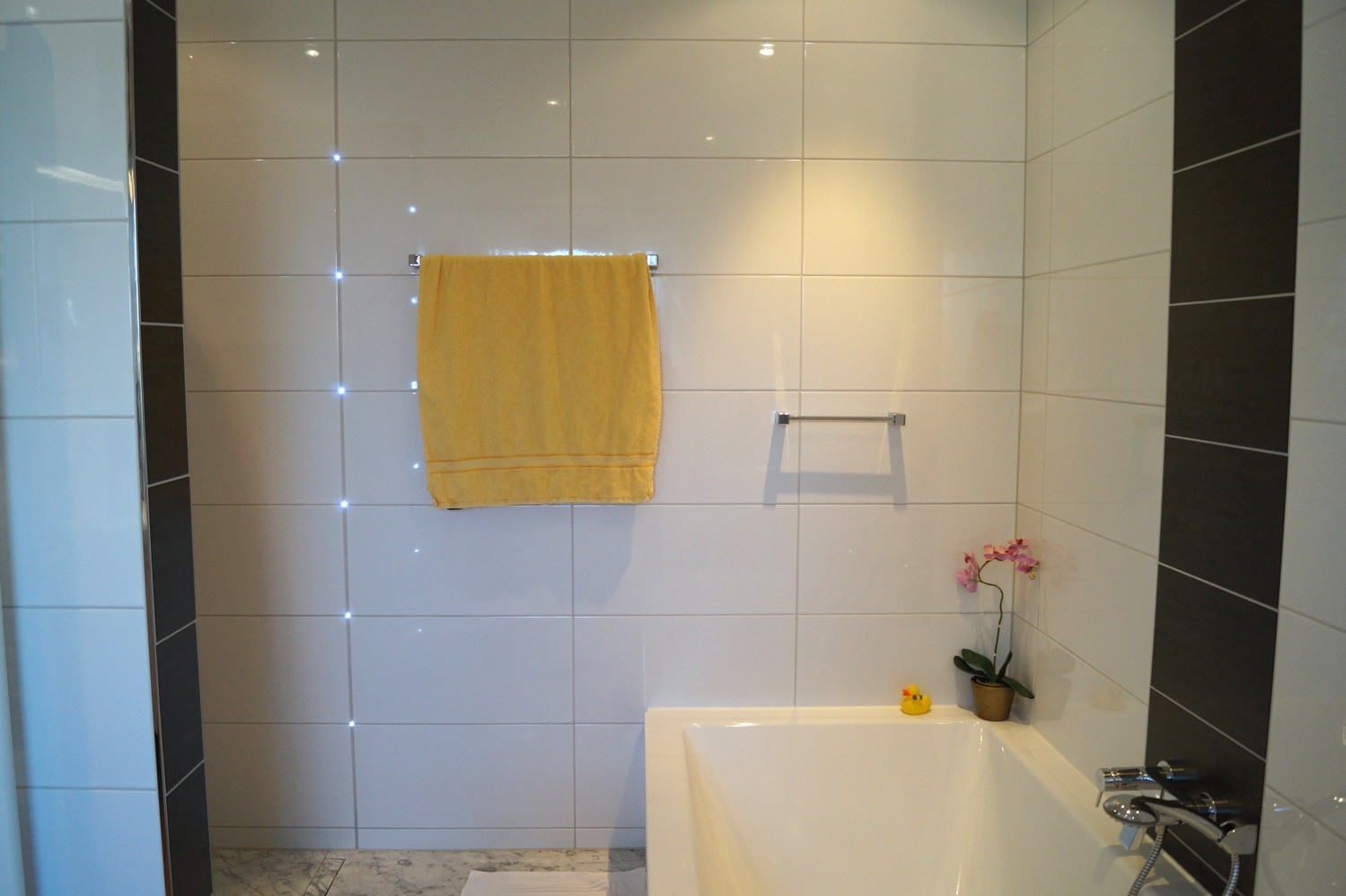 Bad-Badewanne Dusche