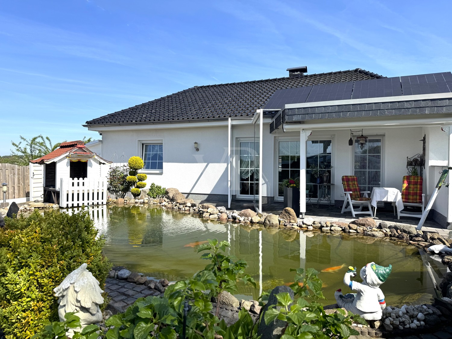 Fische beobachten
