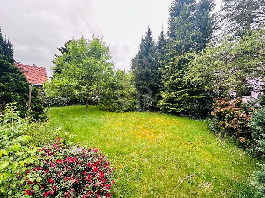 Garten Bild 4