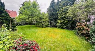 von_poll_real_estate_property_25217028_image_18