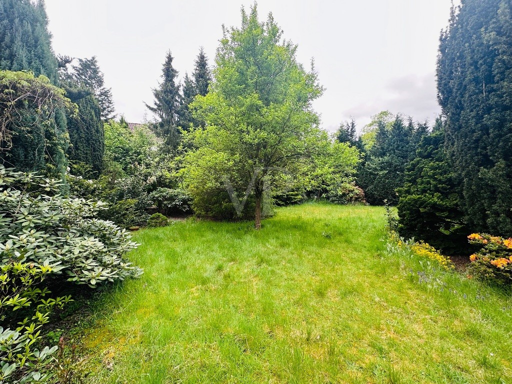 Garten Bild 1