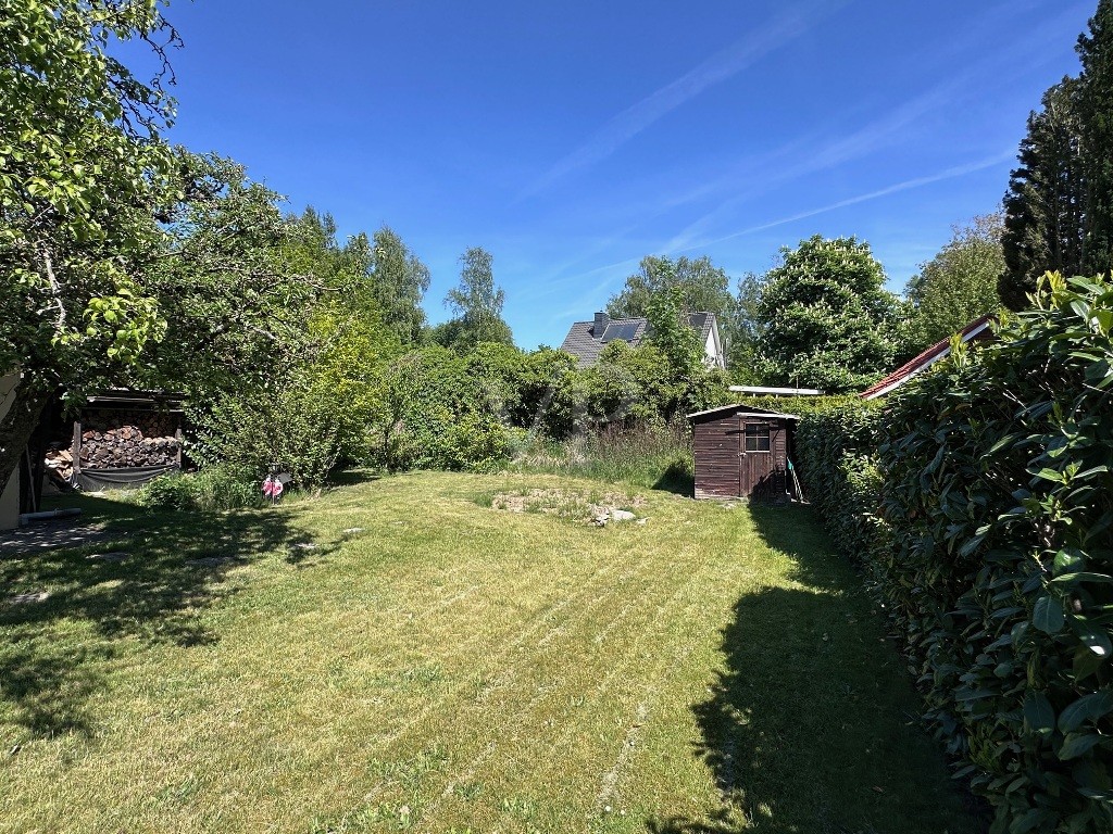 Garten Bild 4