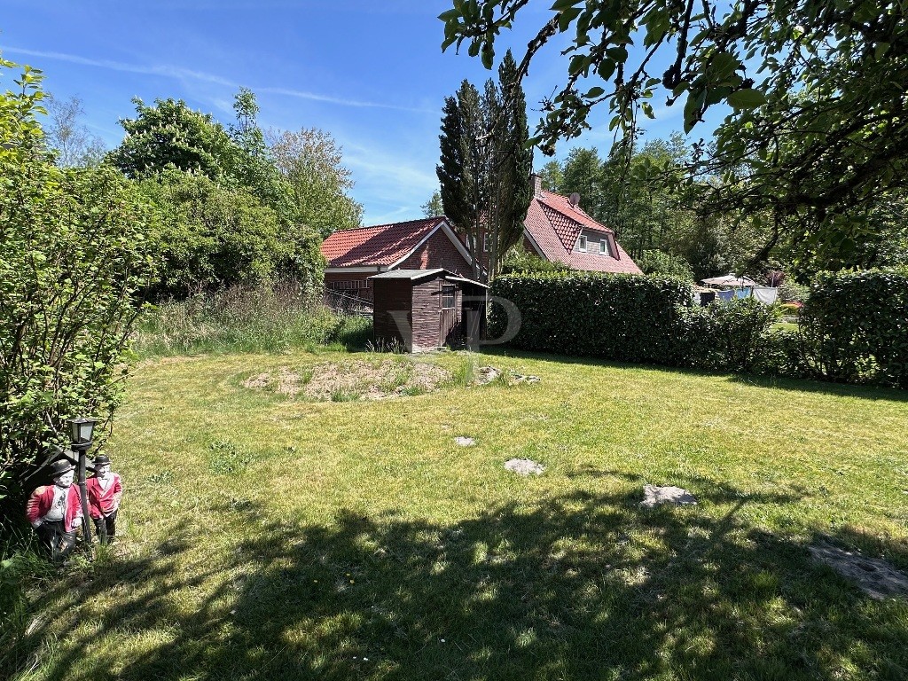 Garten Bild 1