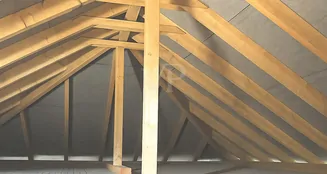 von_poll_real_estate_property_25217050_image_12