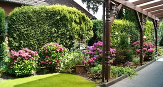 von_poll_real_estate_property_25217054_image_16