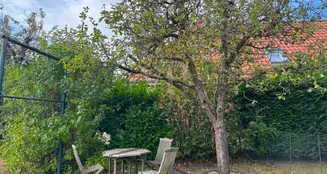 von_poll_real_estate_property_25217065_image_12