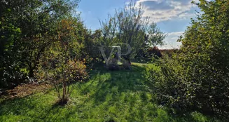 von_poll_real_estate_property_25217059_image_22