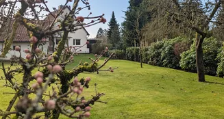 von_poll_real_estate_property_25217079_image_3