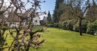 von_poll_real_estate_property_25217079_image_3