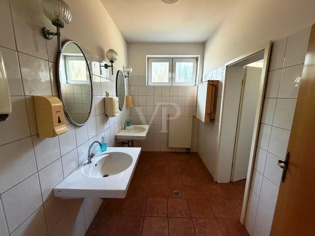 Damen WC Bild 1