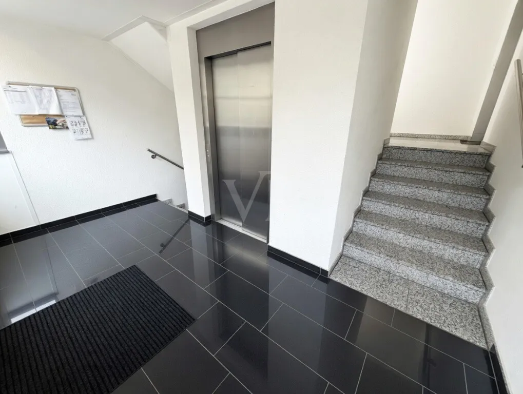 Hauseingang & Aufzug im EG Treppenhaus