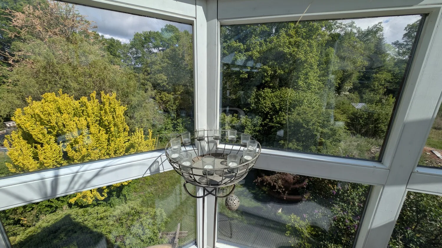 Blick in den Garten