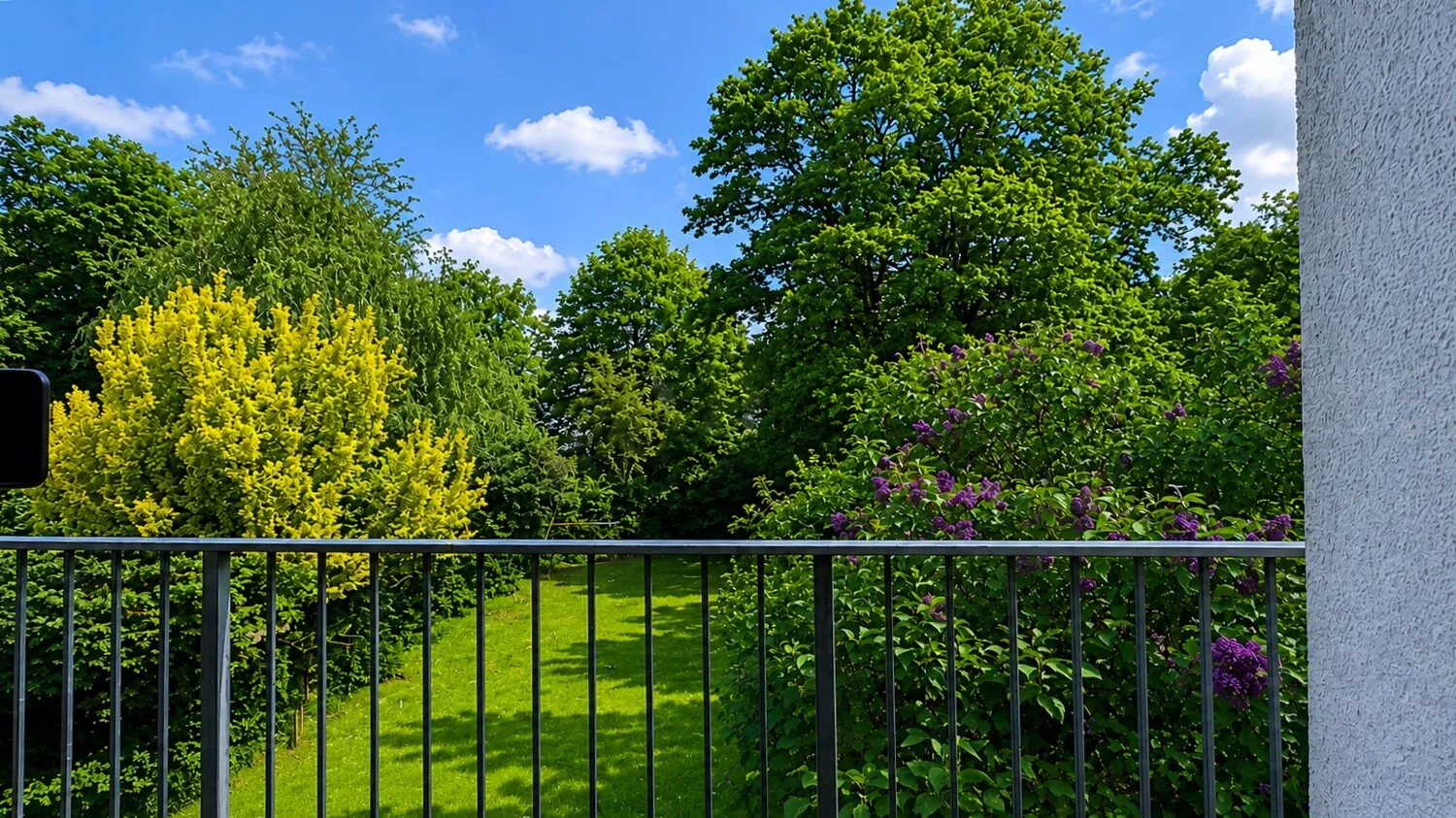 Blick vom Balkon