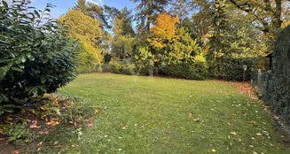 von_poll_real_estate_property_25217071_image_19