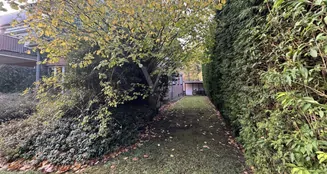 von_poll_real_estate_property_25217071_image_5