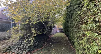 von_poll_real_estate_property_25217071-1_image_5