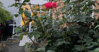 von_poll_real_estate_property_24116008_image_20