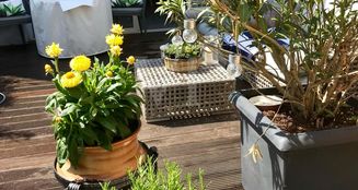 von_poll_real_estate_property_24116008_image_13