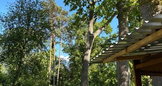 von_poll_real_estate_property_25116007_image_15