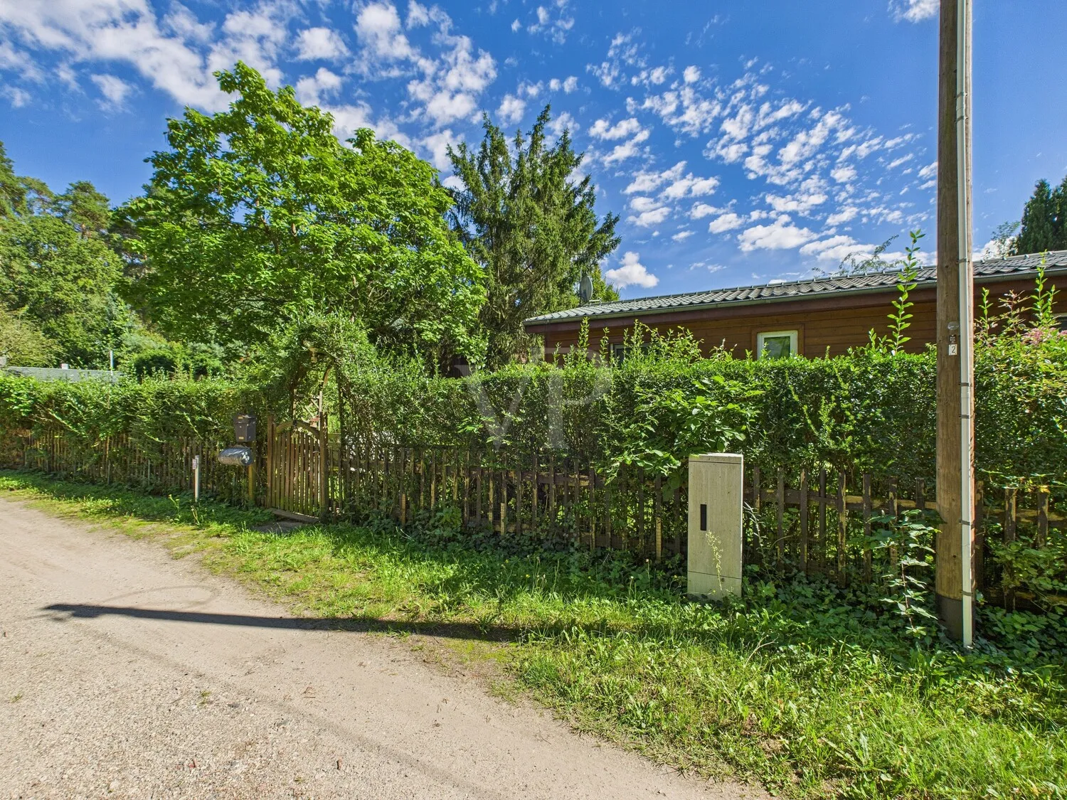 Sunny recreational plot near forest and water