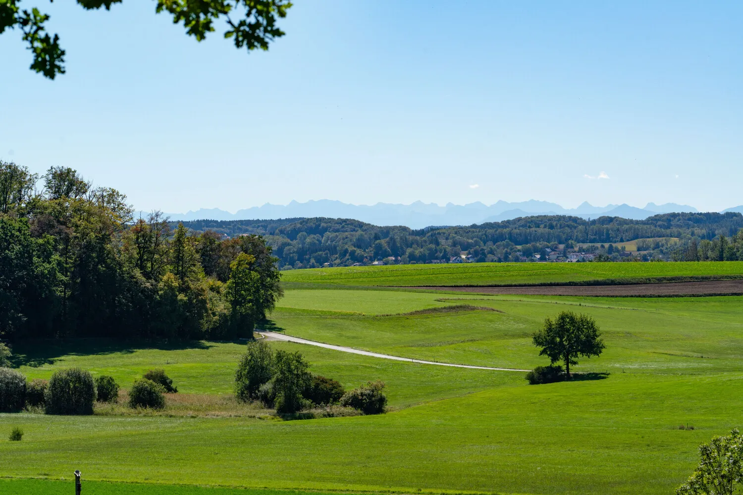 Weitblick