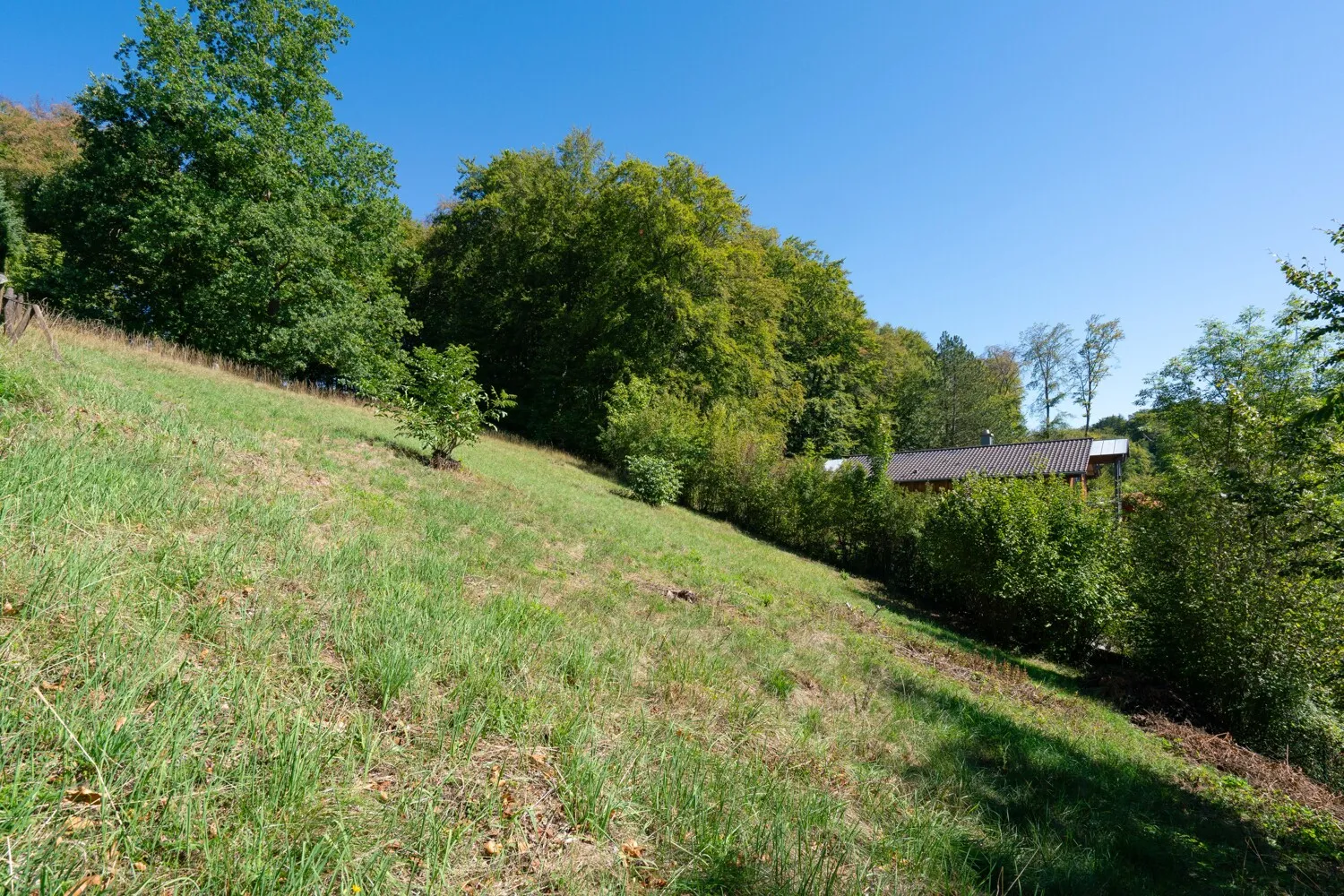 Lage mit Perspektive 
Natur. Lebensqualität. Wertbeständigkeit.